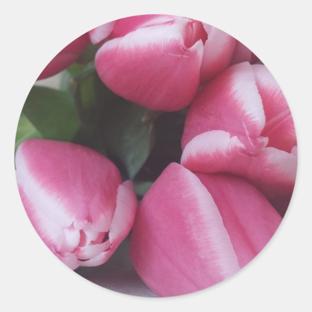 Sticker Rond Tulipes roses (Devant)