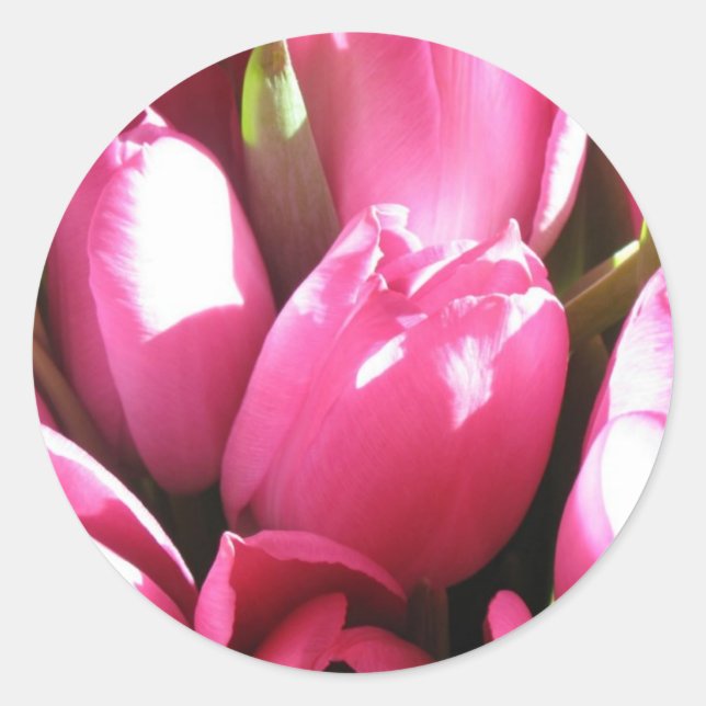 Sticker Rond Tulipes roses (Devant)