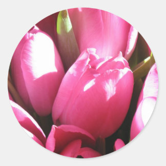 Sticker Rond Tulipes roses
