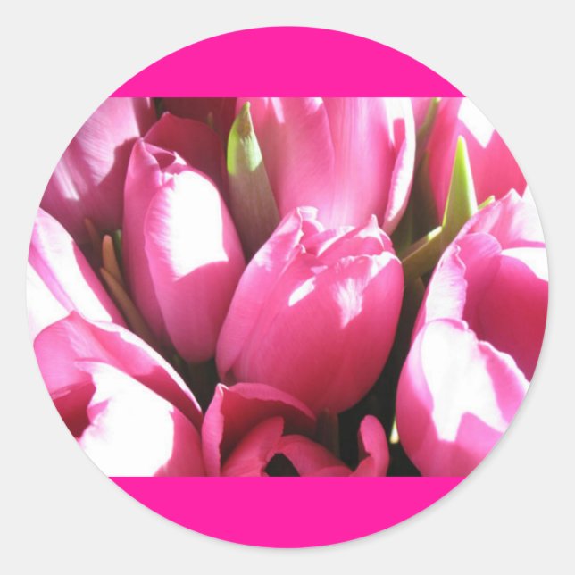 Sticker Rond Tulipes roses (Devant)