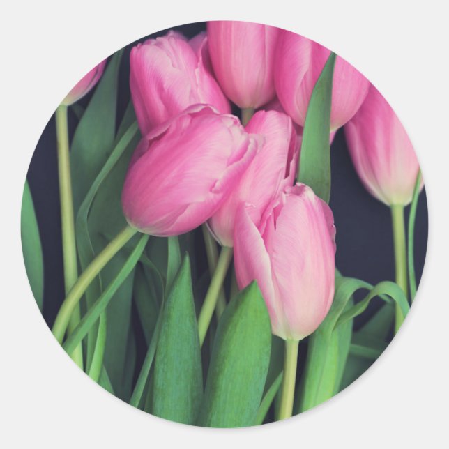 Sticker Rond Tulipes roses (Devant)