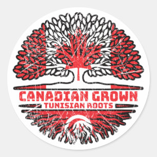 Sticker Rond Tunisie Drapeau des racines d'arbre du Canada tuni