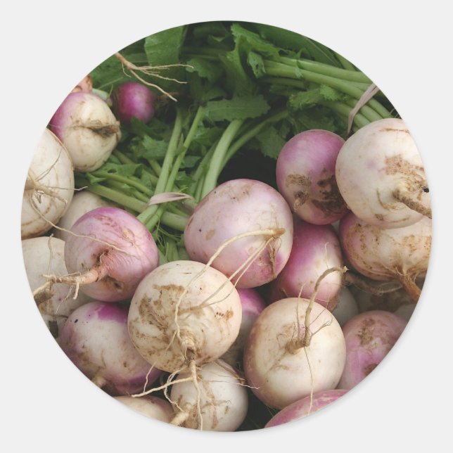Sticker Rond Turnips (Devant)
