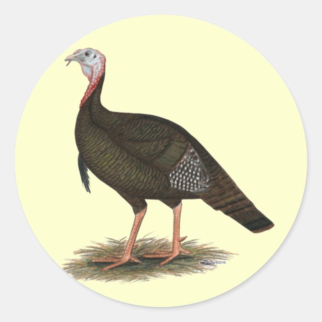 Sticker Rond Turquie : Tom sauvage de l'Est (Devant)