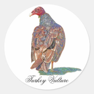STICKER ROND TURQUIE VULTURE