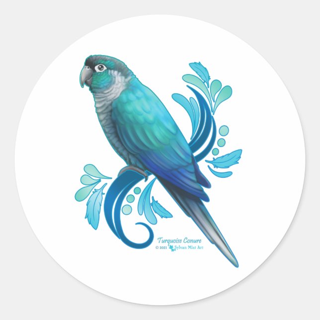 Sticker Rond Turquoise Conure (Devant)
