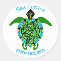 TURTLE - Conservation - Écologie - Nature