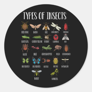 Sticker Rond Types D'Insectes Identification De Bogue