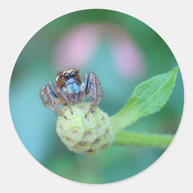 Sticker Rond Un ami pour Jumping Jack ! (Devant)