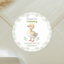 Un anniversaire de premier anniversaire de bébé à
