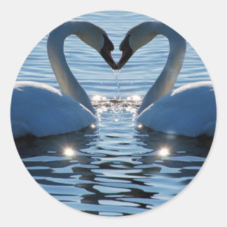 Sticker Rond Un baiser du coeur du cygne, réflexions sur l'amou