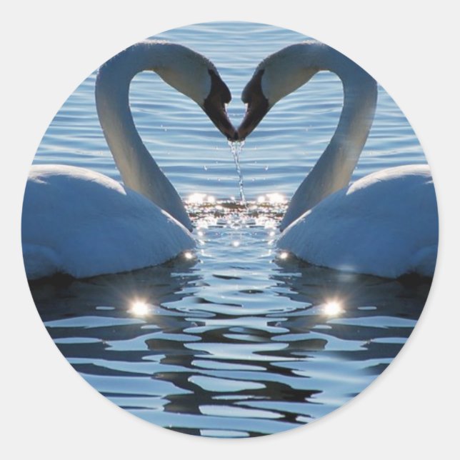 Sticker Rond Un baiser du coeur du cygne, réflexions sur l'amou