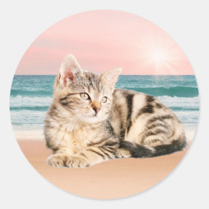 Sticker Rond Un chat rayé plus mignon assis sur la plage au cou