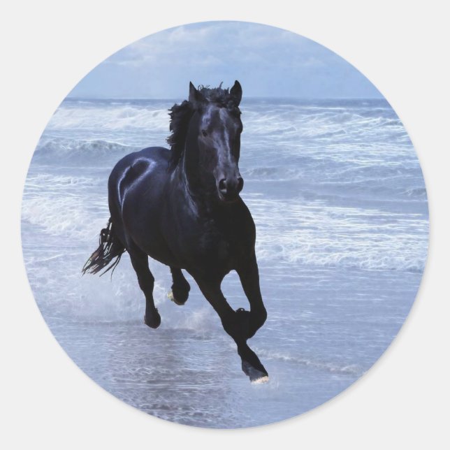 Sticker Rond Un cheval sauvage et libre (Devant)