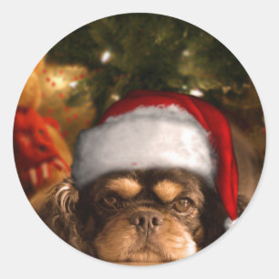 Sticker Rond Un chien a lieu pendant la vie pas simplement pour