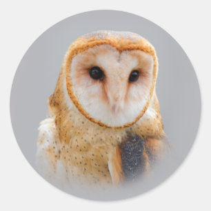 Sticker Rond Un chou de grange serein et magnifique