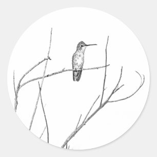 Sticker Rond Un colibri sur un bâton