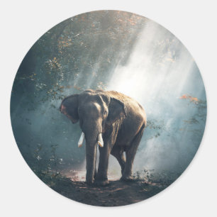 Sticker Rond Un éléphant asiatique dans un défrichement éclairé