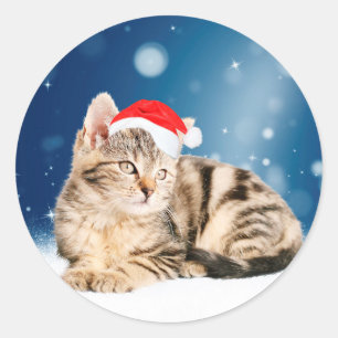 Sticker Rond Un joli chat portant un chapeau de Père Noël rouge