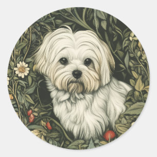 Sticker Rond Un mignon chien maltais dans un jardin à la Willia