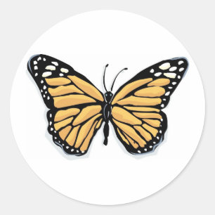 Sticker Rond Un papillon monarque Dainty