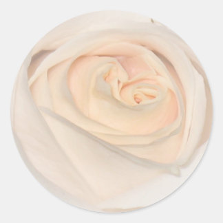 Sticker Rond Un Rose