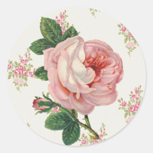 Sticker Rond Un Rose pour un motif floral rose Vintage Rose