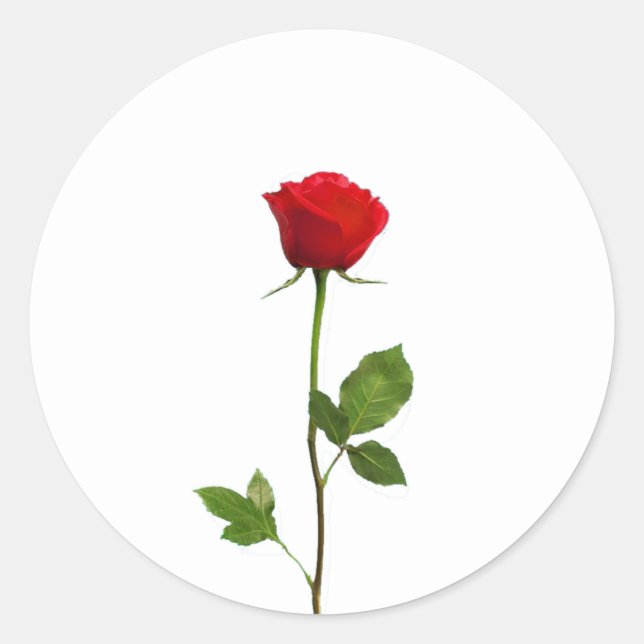 STICKER ROND UN ROSE ROUGE DE LONGUE TIGE (Devant)