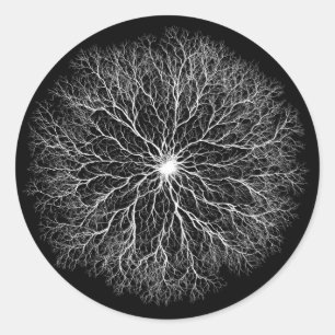 Sticker Rond Une Source   Conception de l'Arbre de Vie