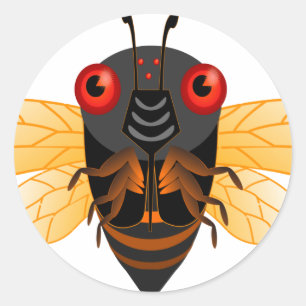 Sticker Rond Une très jolie cigale de 17 ans