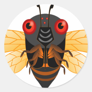 Sticker Rond Une très jolie cigale de 17 ans