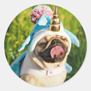 Sticker Rond Unicorn pug