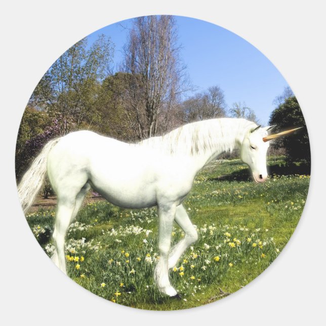 Sticker Rond Unicornes (Devant)