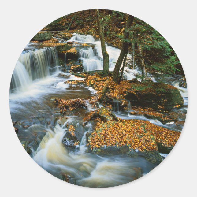 Sticker Rond USA, Pennsylvanie, Ricketts Glen State Park (Devant)