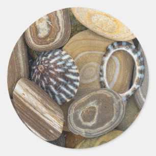 Sticker Rond USA, Washington, Seabeck. Close-up