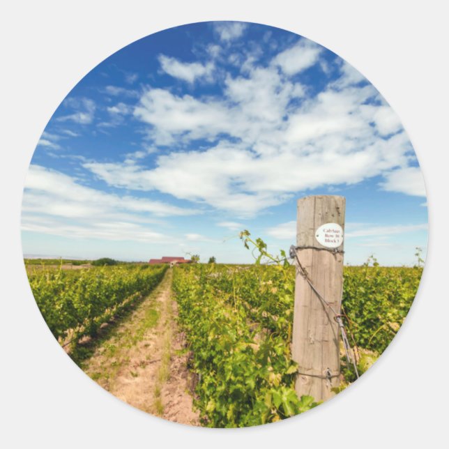 Sticker Rond USA, Washington, Walla Walla. Cabernet Sauvignon (Devant)