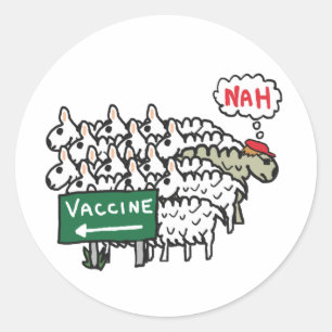 Sticker Rond Vaccination contre la cire des moutons