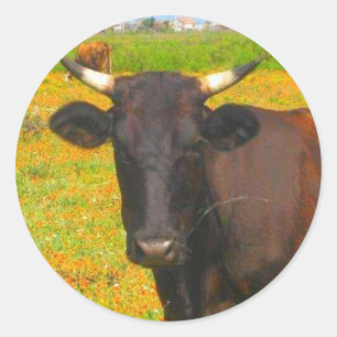 Sticker Rond Vache