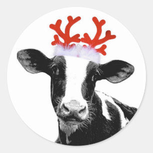 Sticker Rond Vache avec des andouillers de renne