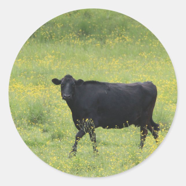 Sticker Rond Vache noire_0075 (Devant)