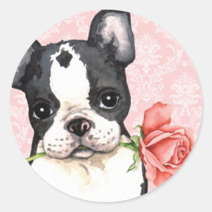 Sticker Rond Valentine Rose Boston Terrier