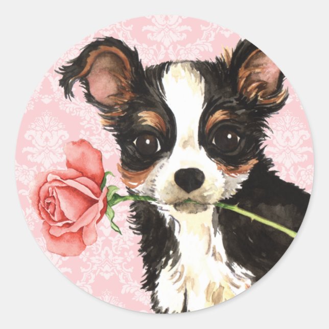 Sticker Rond Valentine s'est levé long chiwawa de manteau (Devant)