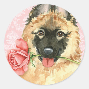 Sticker Rond Valentine Tervuren rose