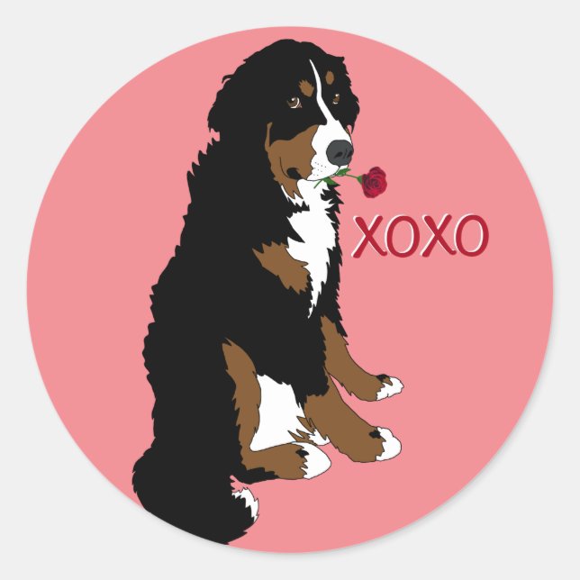 Sticker Rond Valentines Bernese Mountain Dog (Devant)