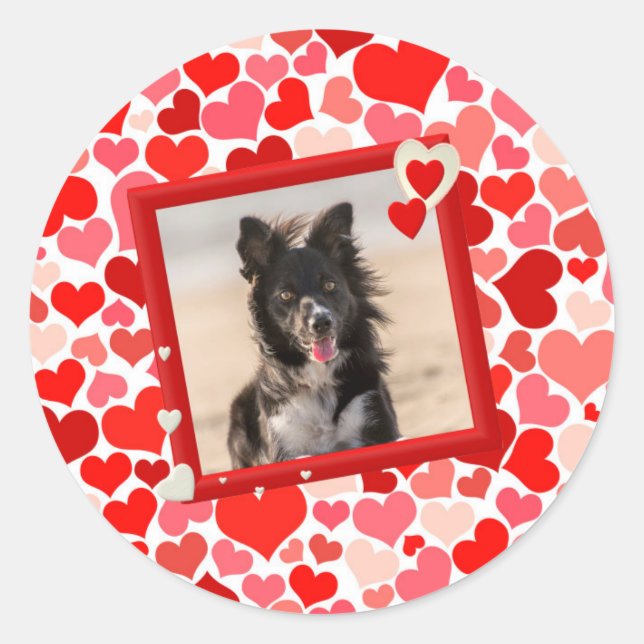 Sticker Rond Valentines Frontière Collie Coeurs de chien (Devant)
