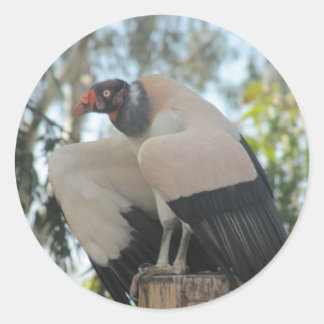 Sticker Rond vautour