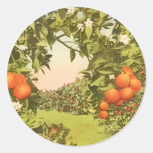 Sticker Rond Verger d'orange vintage