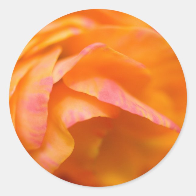 Sticker Rond vérité solitaire (Devant)