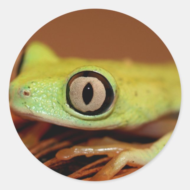 Sticker Rond Vert clair (Devant)