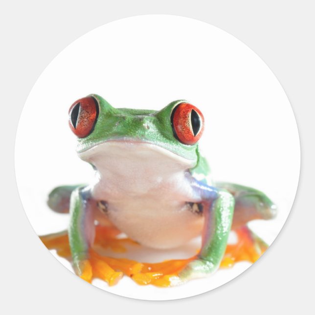 Sticker Rond Vert clair (Devant)
